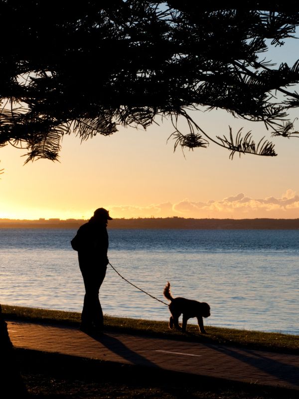Clean hearing aids make the sounds of nature pop